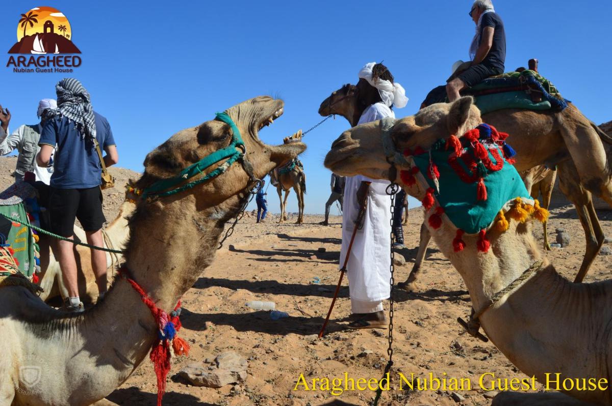 Nubian Kingdom Aragheed House - Housity