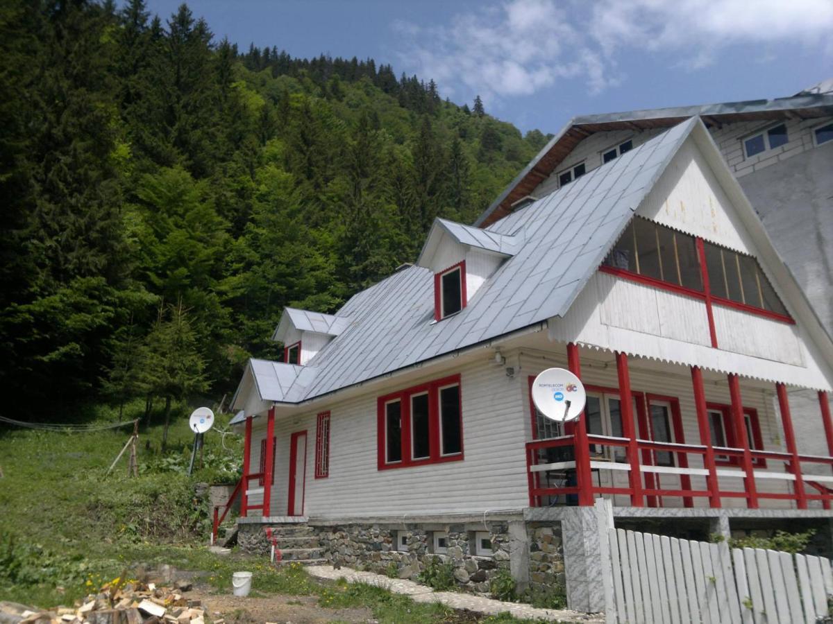 Cabana Dara - Hizvo