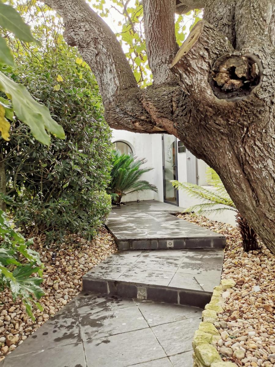 Jardin de l'établissement Le Clos Saint-Martin Hôtel & Spa