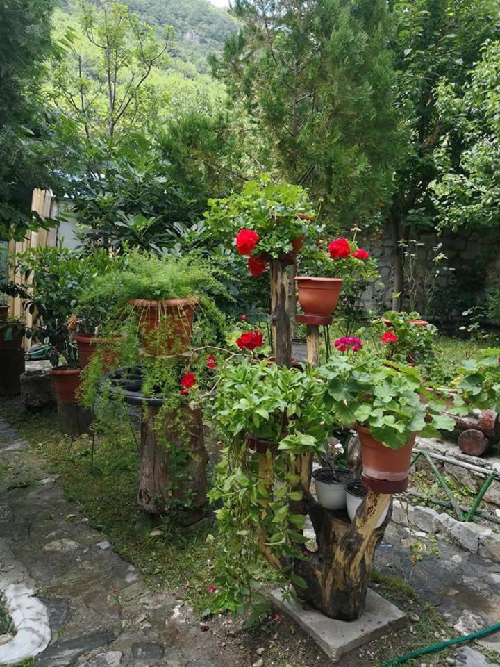 Pensiunea Casa montana - Housity