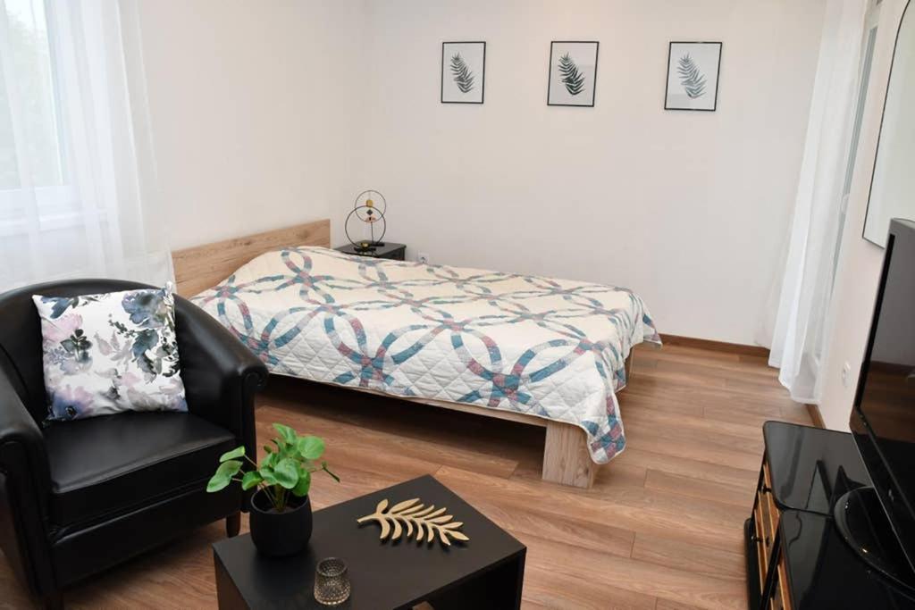 Nagyerdei Apartman - Greatforest Apartment - Housity