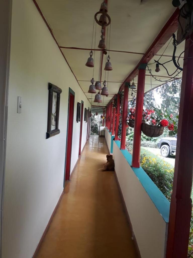 Mirador Las Marcadas - Housity