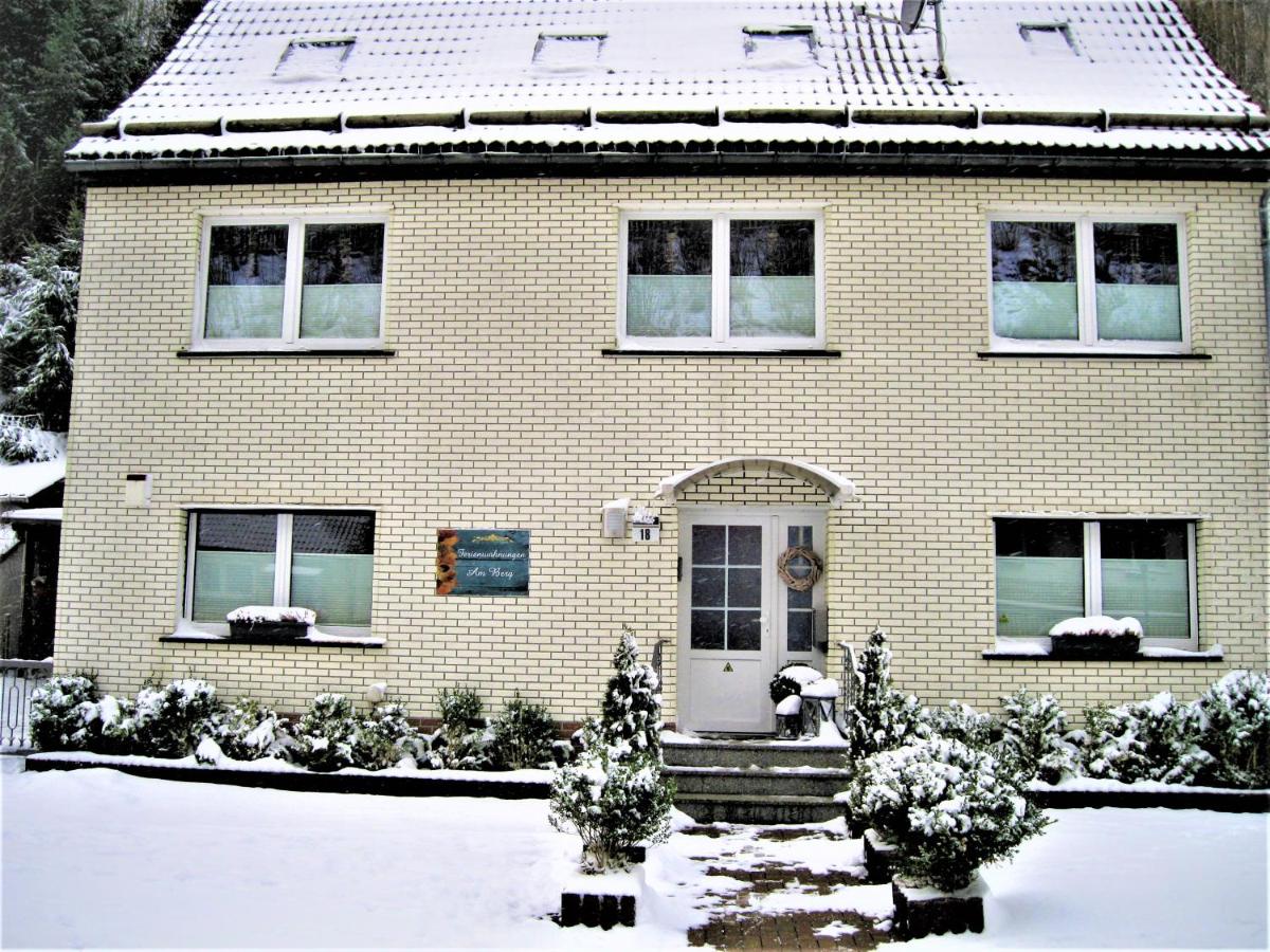 Ferienwohnung Am Berggipfel - Housity