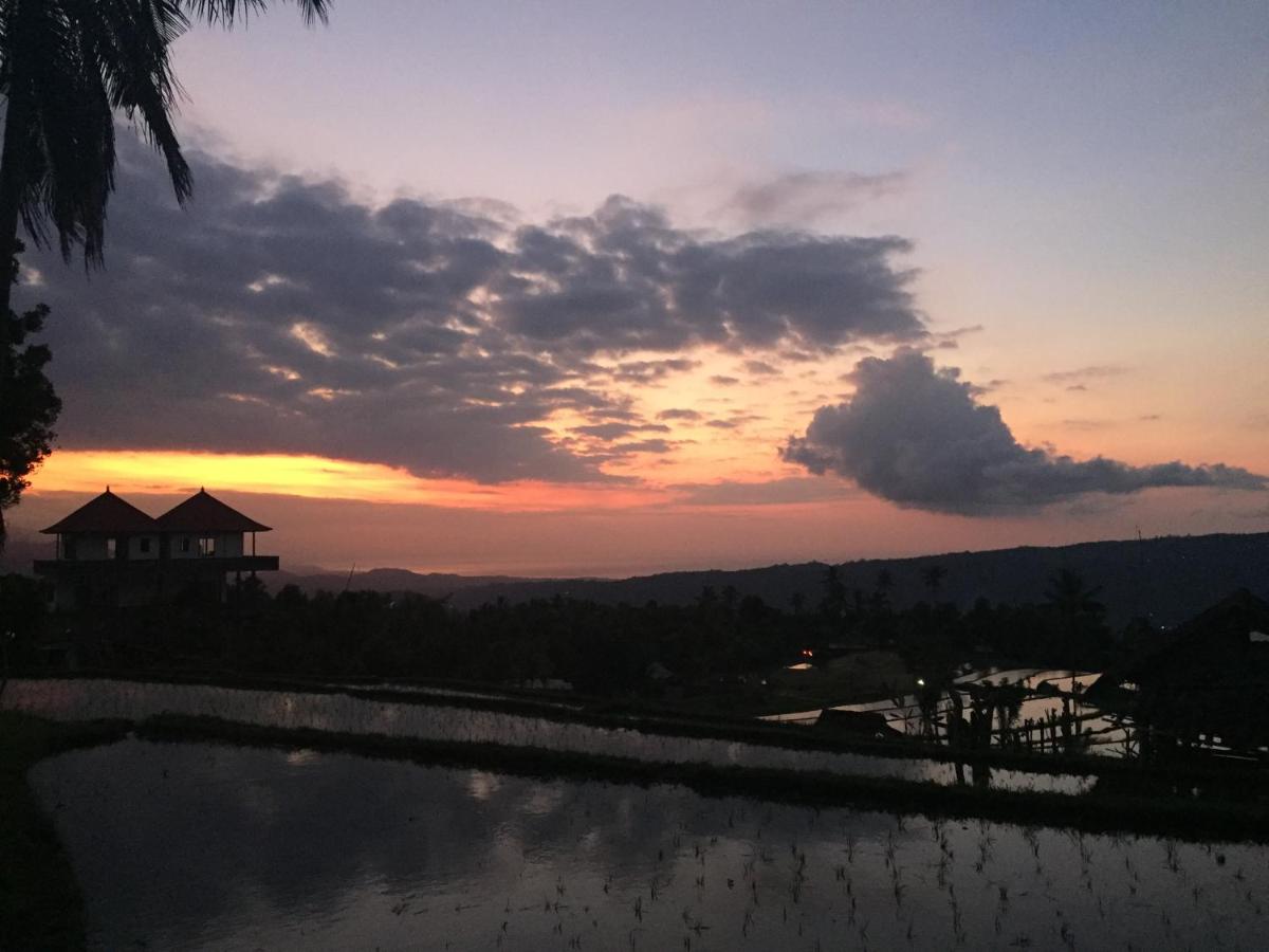 Candra Cottage - Housity