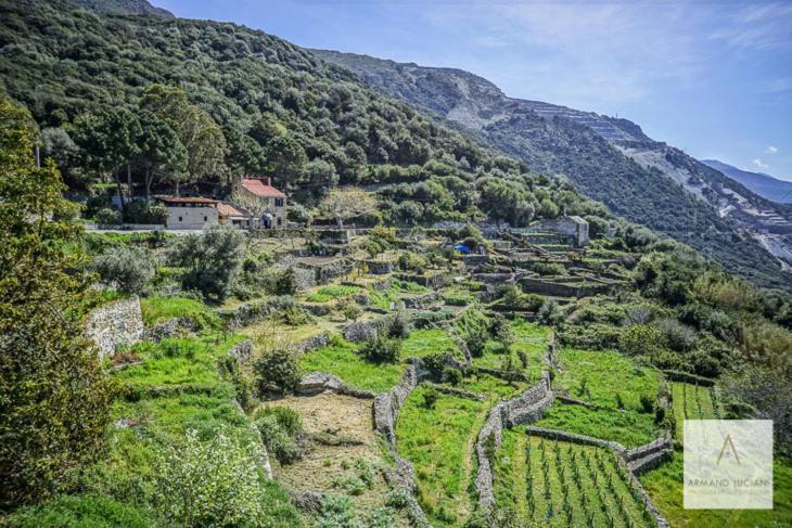 L'Auberge du Chat qui Pêche - Housity