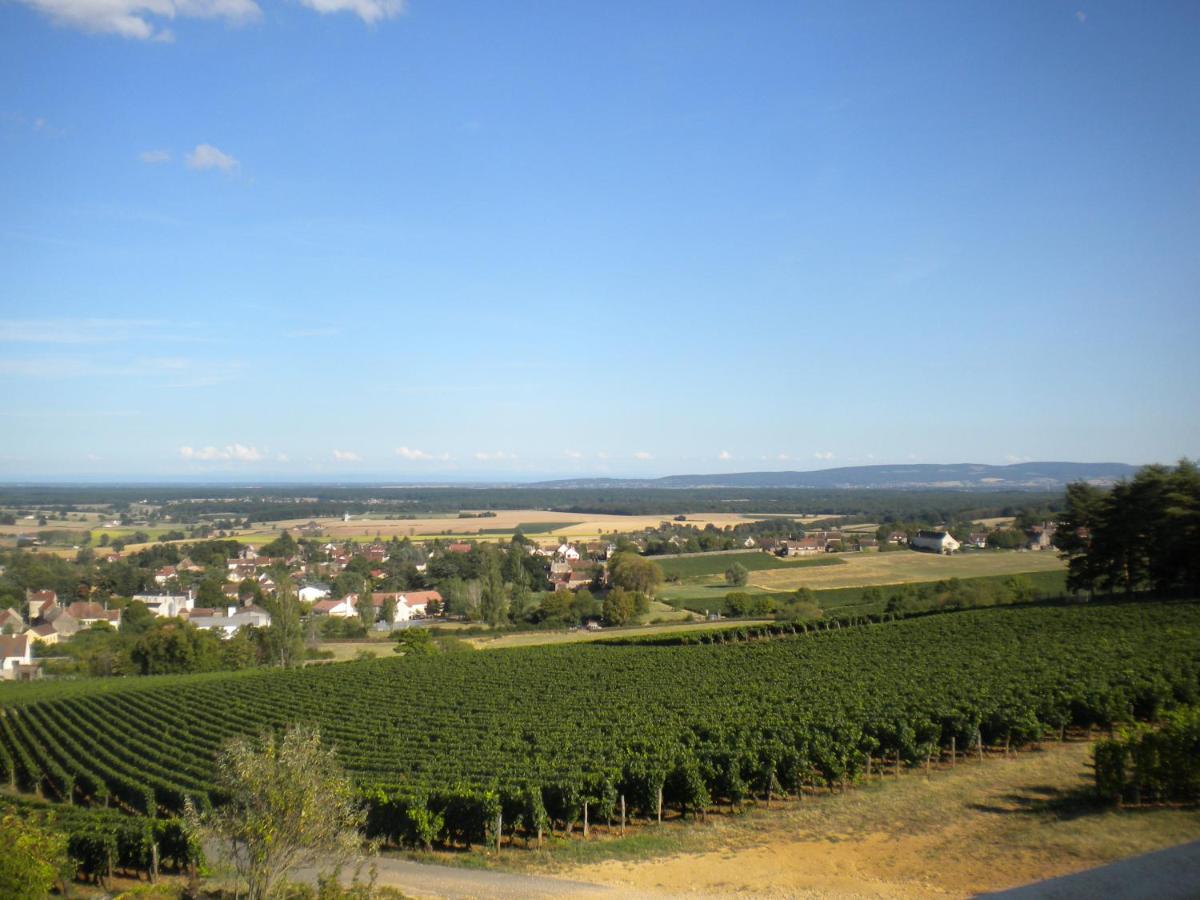 Le Mont Laurent - Housity