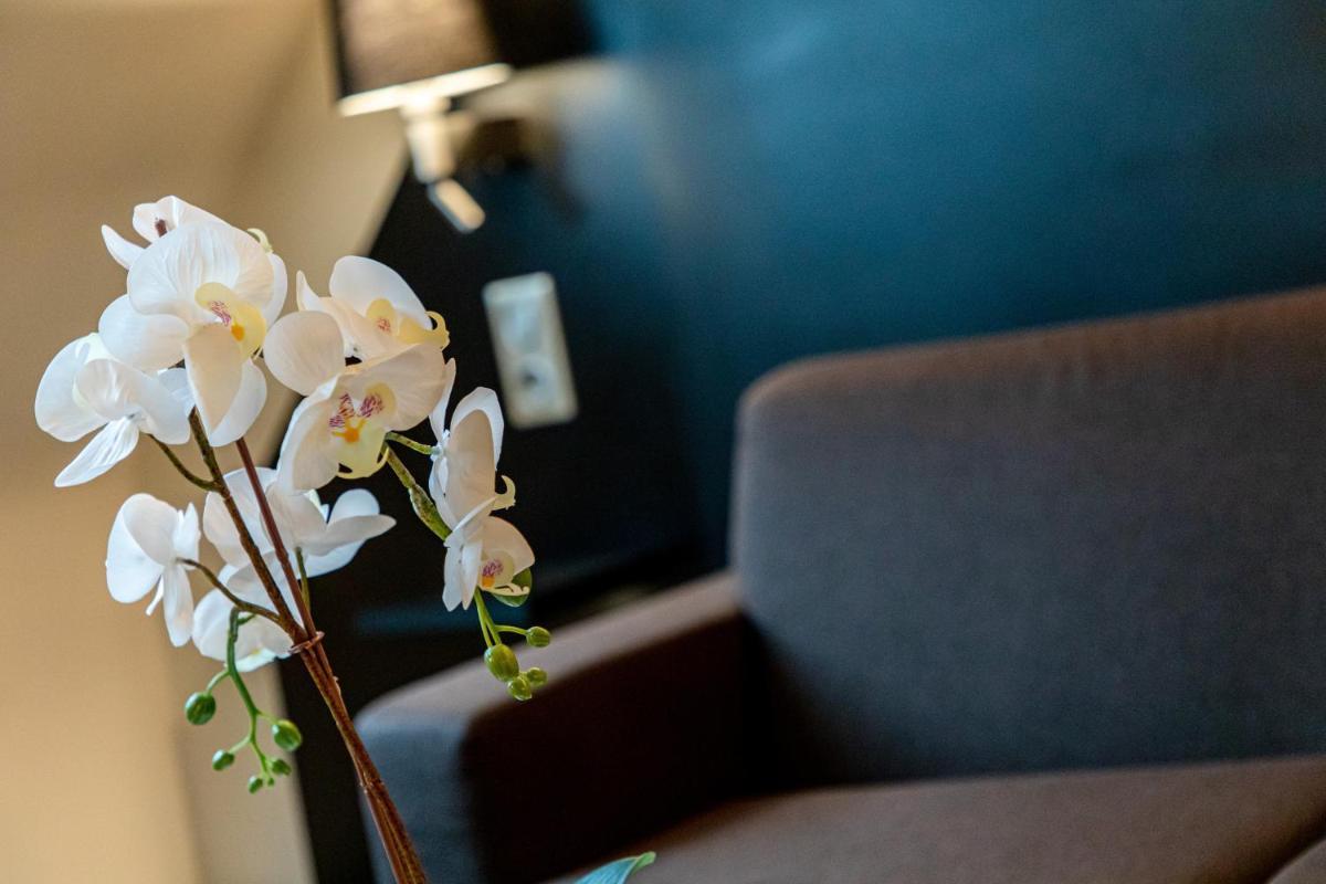 Coin salon dans l'établissement Europe Haguenau – Hotel & Spa
