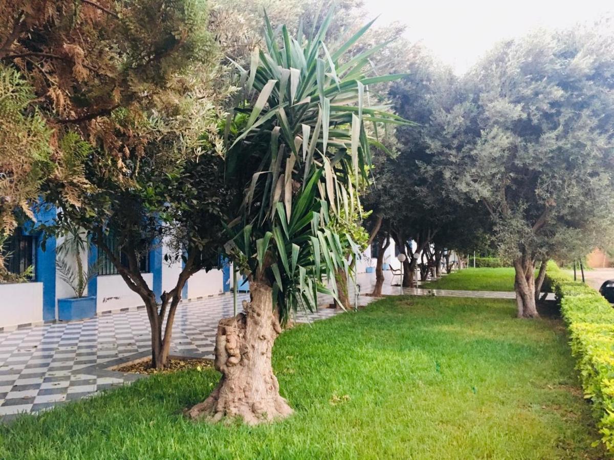 Hotel Ribis - Housity