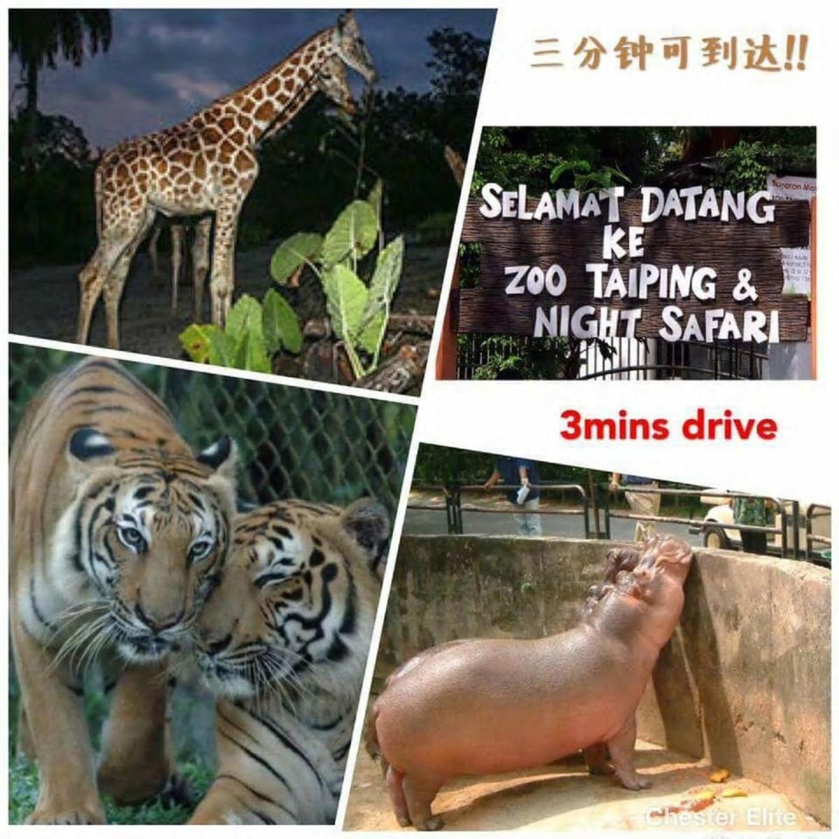 Taiping Vacation Home - Housity