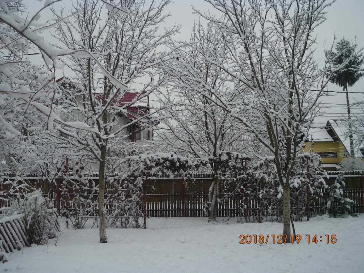 Vila Mihaela - Housity