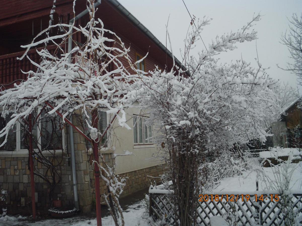 Vila Mihaela - Housity