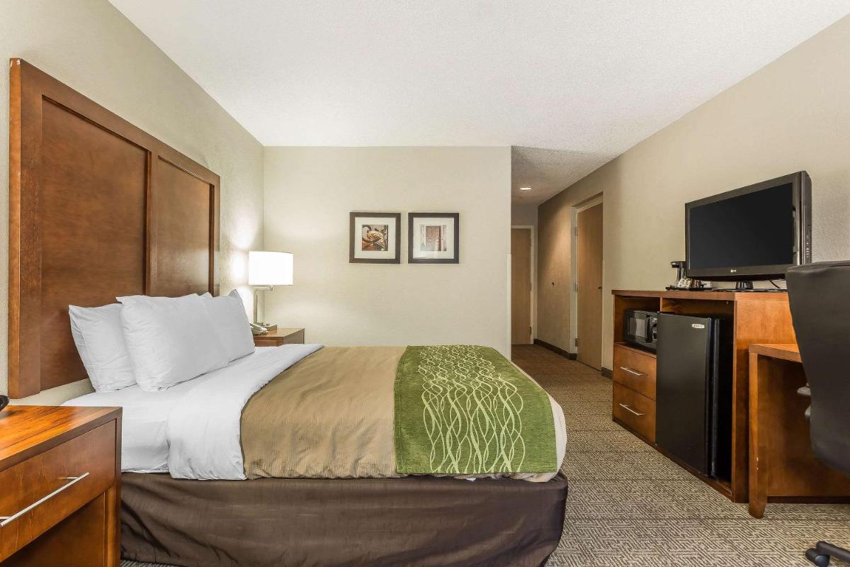 Quality Inn Summerville-Charleston - Housity