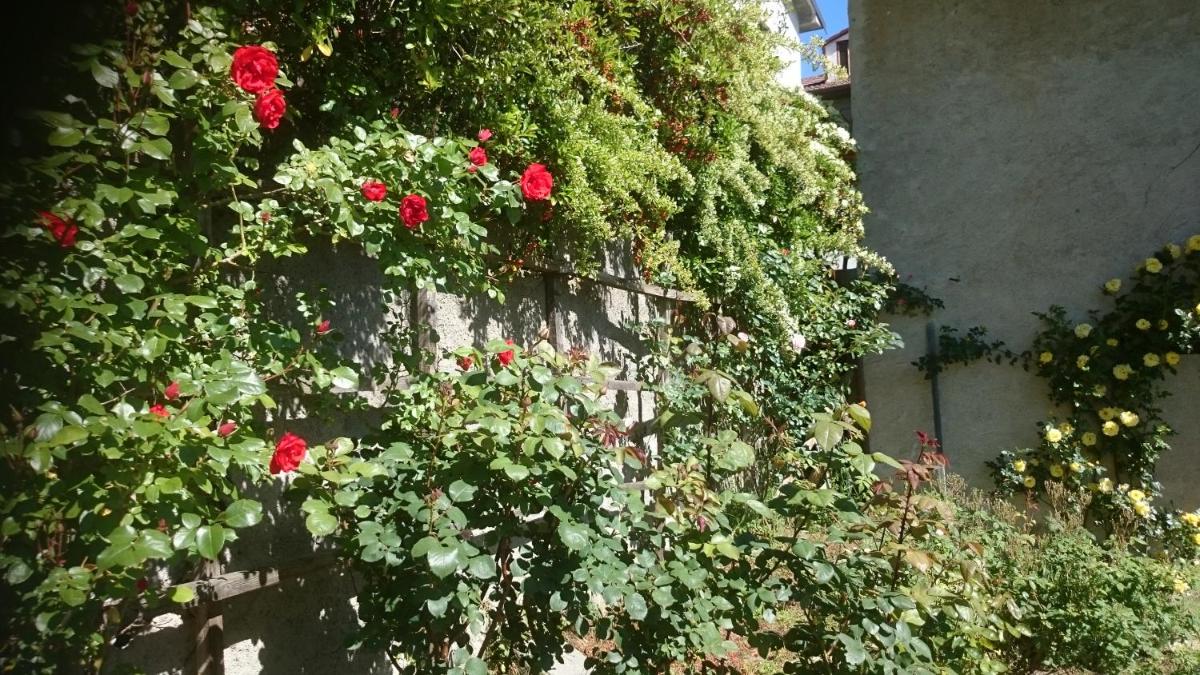 B&B Barbaia - Housity