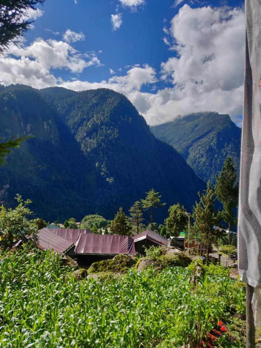 Ourguest Camp Lachung - Housity