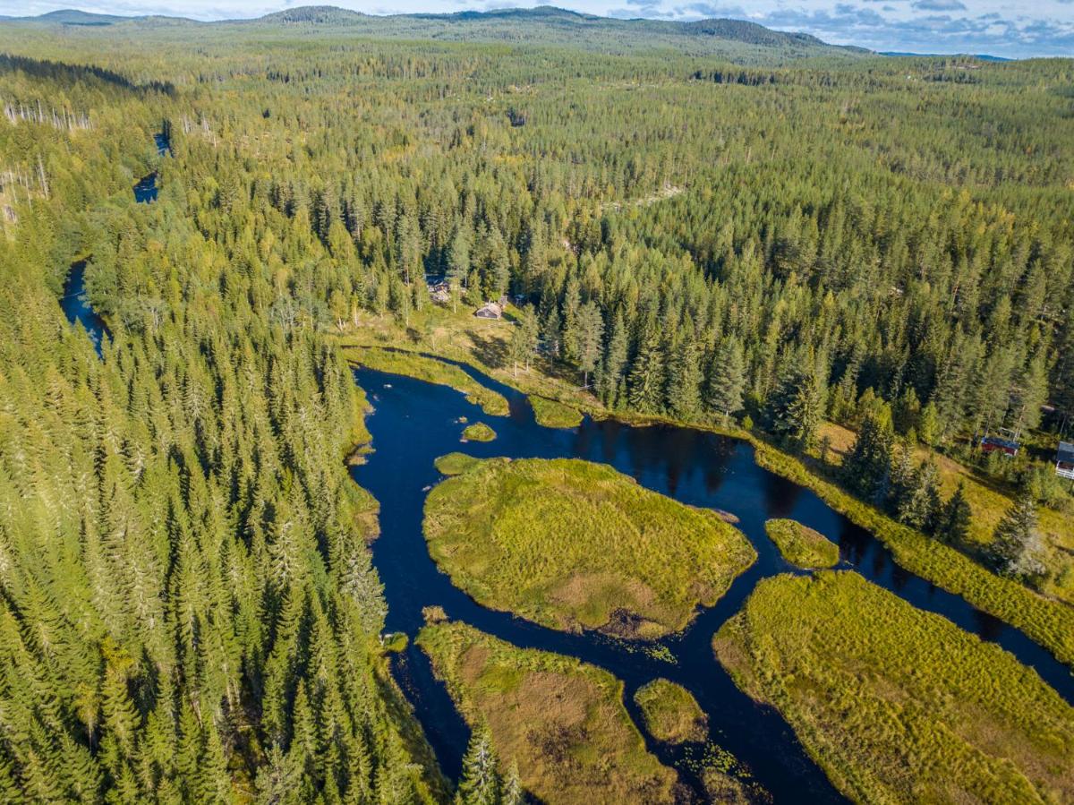 The Old Logging Camp - Housity