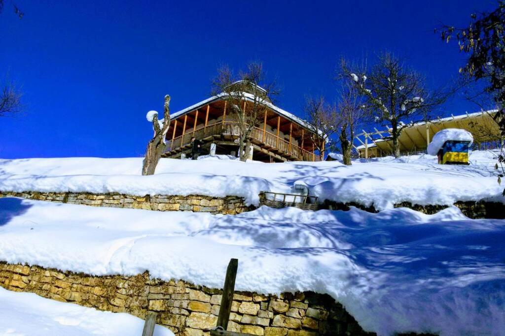 Wooden cottage - pure nature, peace and rest - Housity