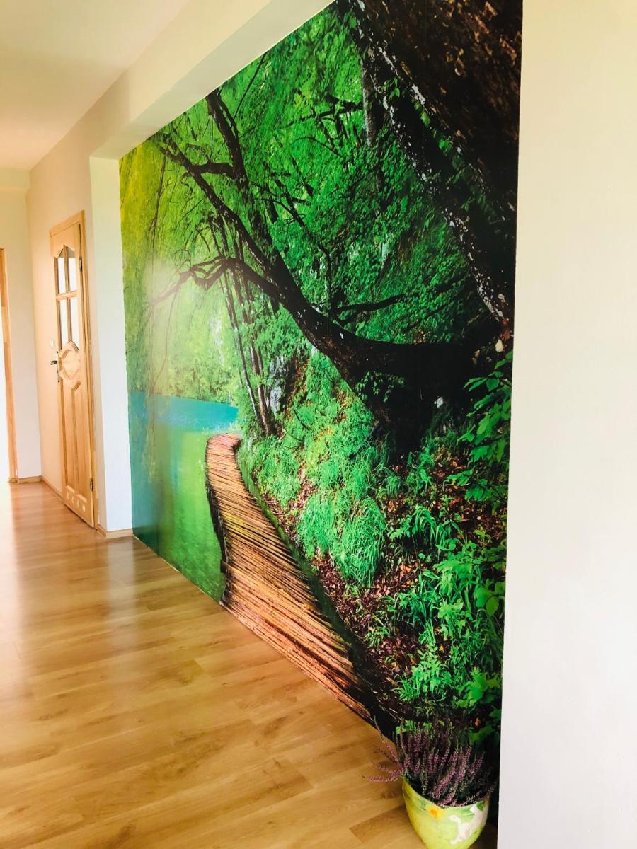 Nibylandia Dom pod Lasem - Housity