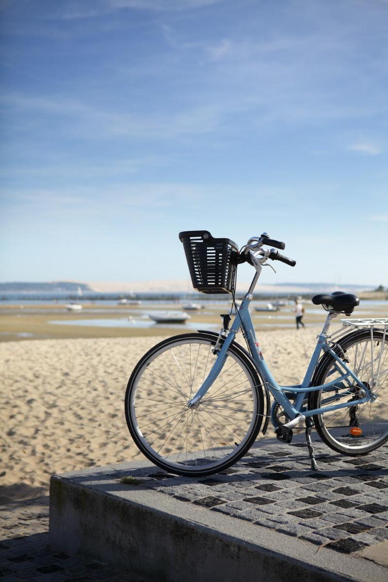 Vélo sur le terrain de l'établissement Hôtel Côté Sable ou dans les environs