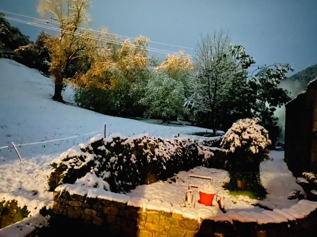 Apartamentos Casa Frutos - Housity