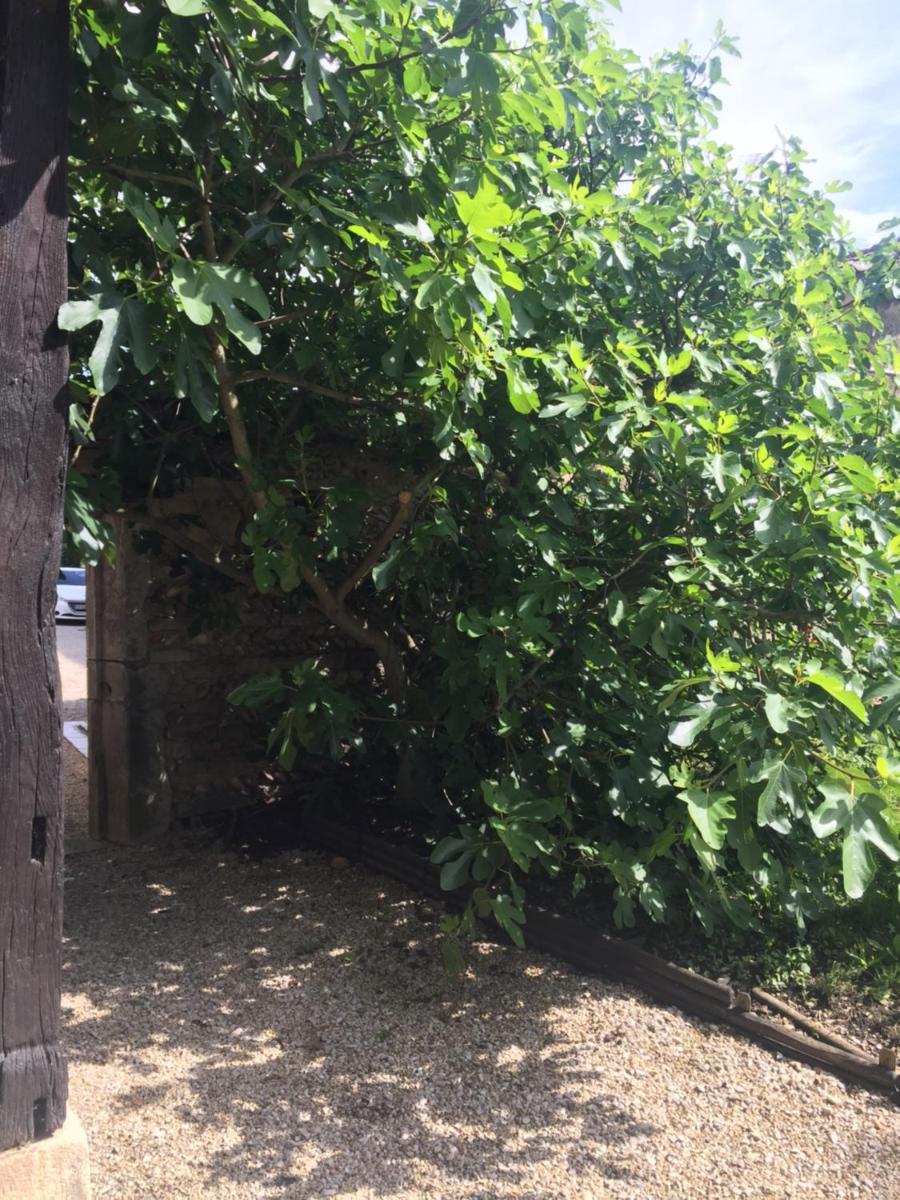 Le Moulin de Champagne - Housity