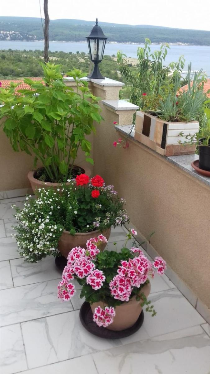 Apartments Villa Marija - Housity