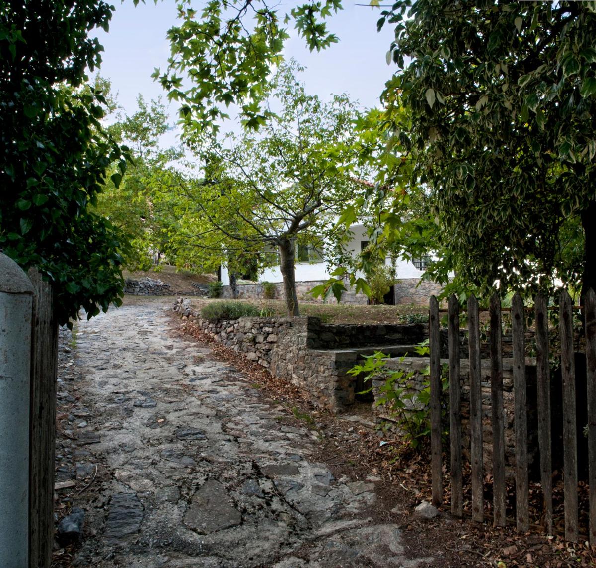 MOUNTAIN HOUSE - SETTA - Housity