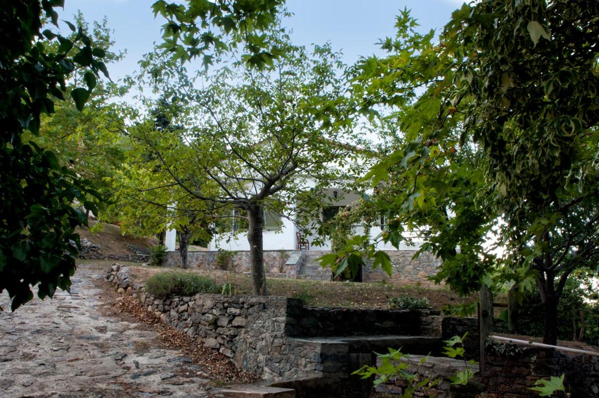 MOUNTAIN HOUSE - SETTA - Housity
