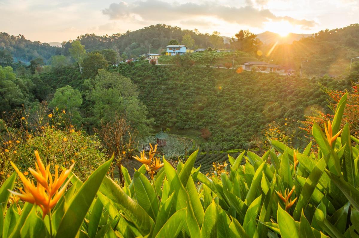 เลาลีฮิลล์รีสอร์ท Laulee hill resort - Housity