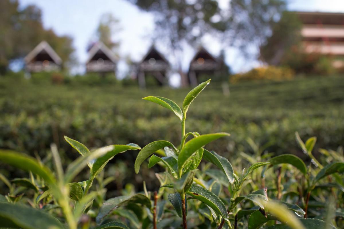 เลาลีฮิลล์รีสอร์ท Laulee hill resort - Housity