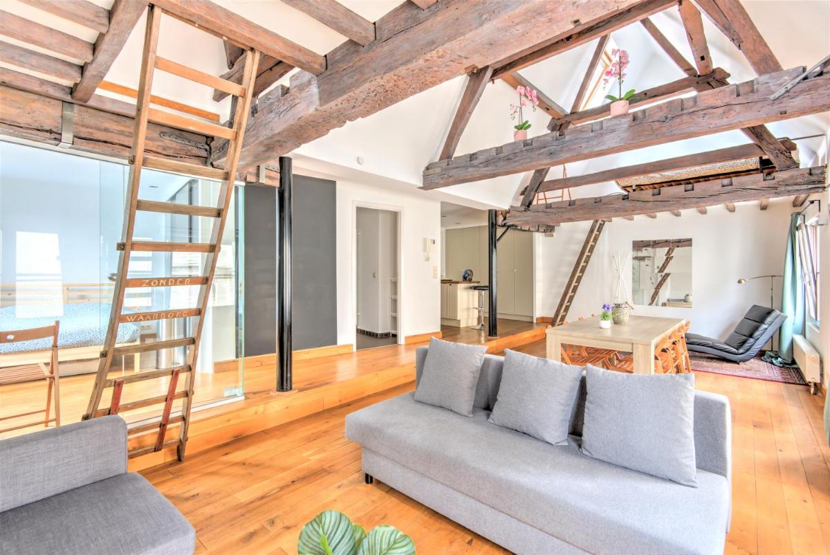 Tempel Triplex & Duplex at Historic Heart of Antwerp - Housity