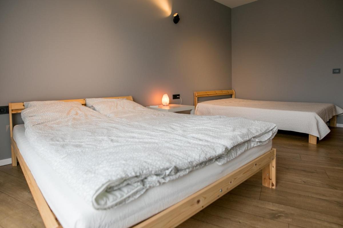 Spacious and sunny apartment in Birstonas center - Housity