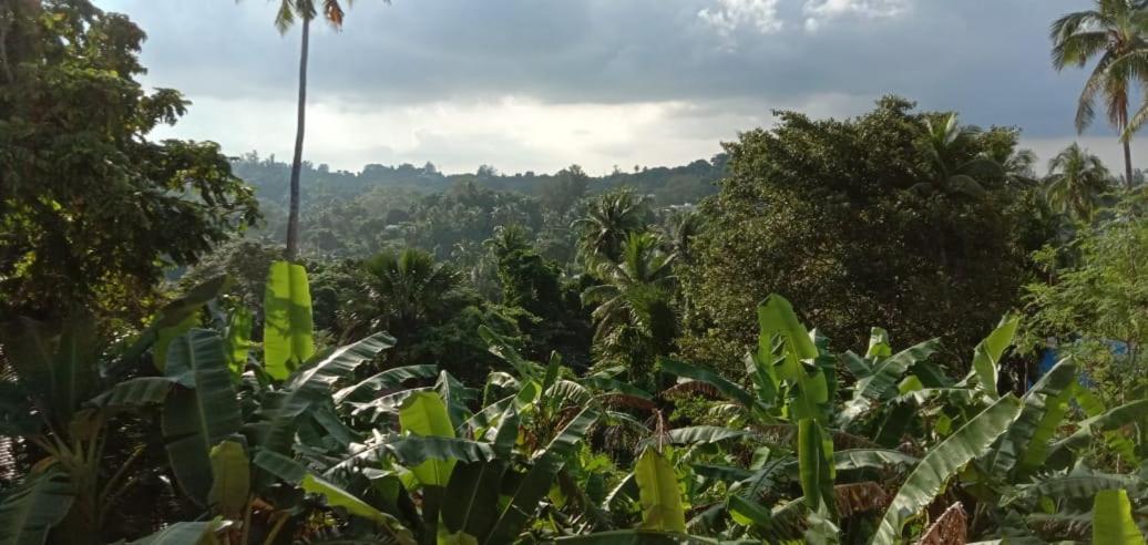 Sunrise Home Stay - Housity