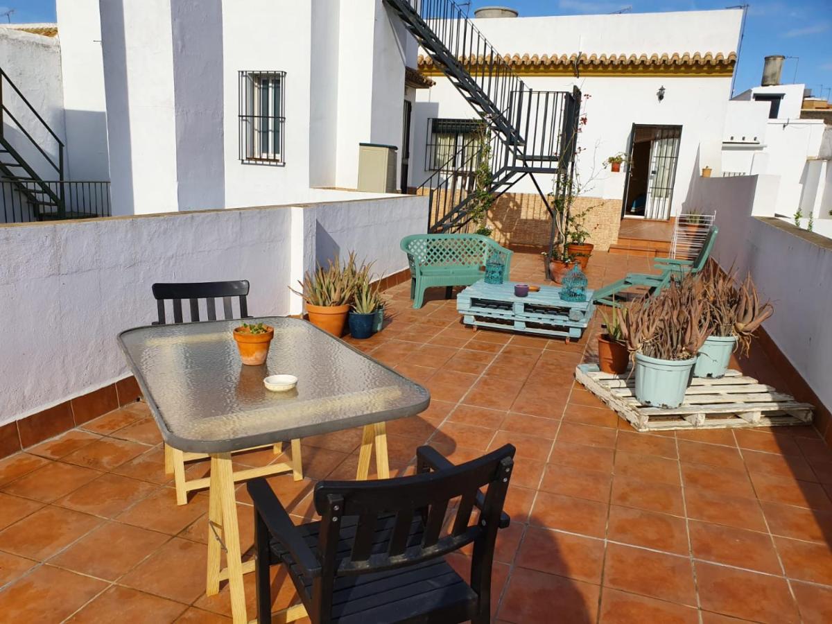 Vive la campiña Sevillana - Terraza y 3 Hab - Housity