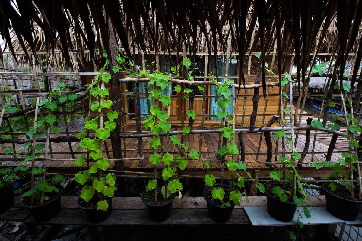 Baan Tonlamphu Pakpra - Housity