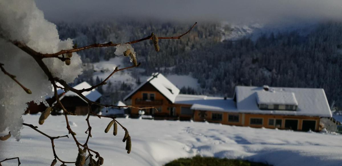 Gasthof-Pension Stieber - Housity