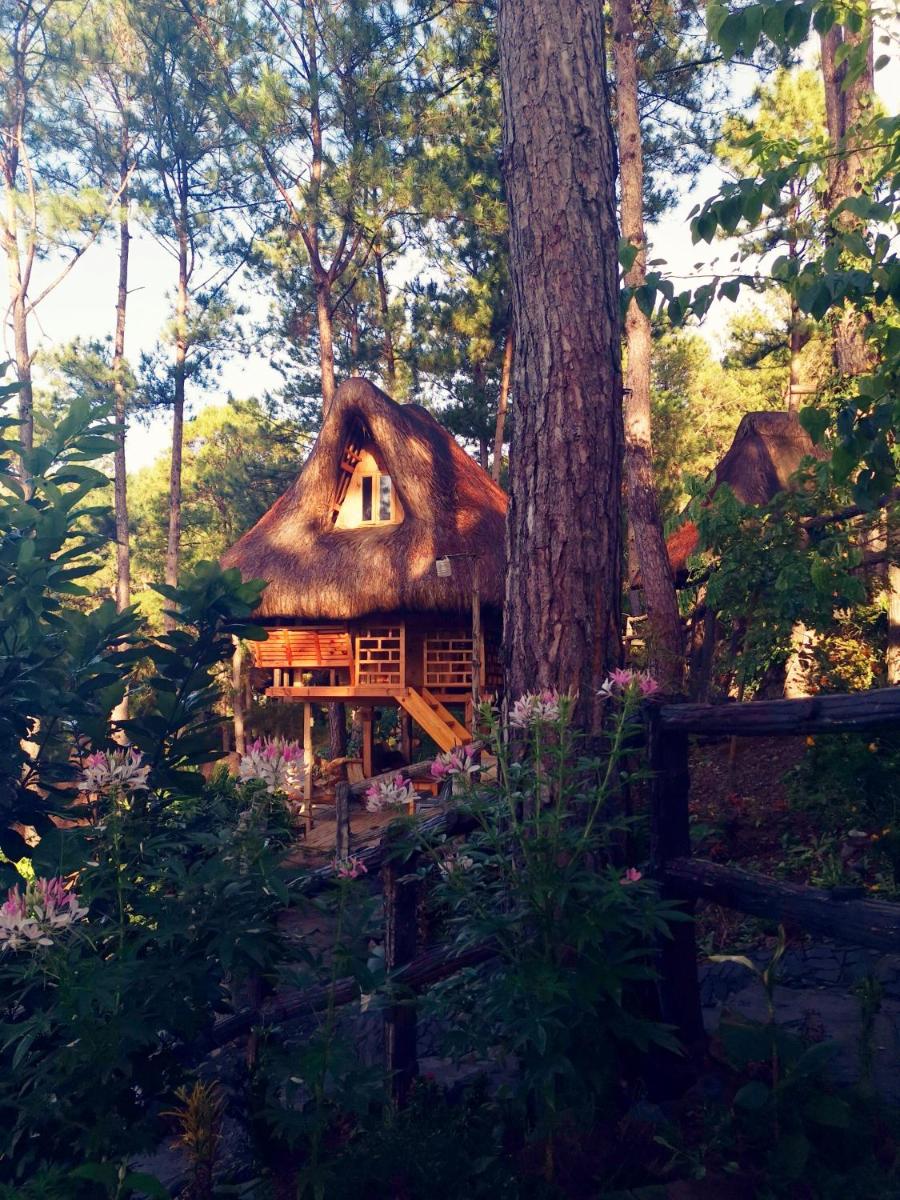 Sagada Heritage Village - Housity