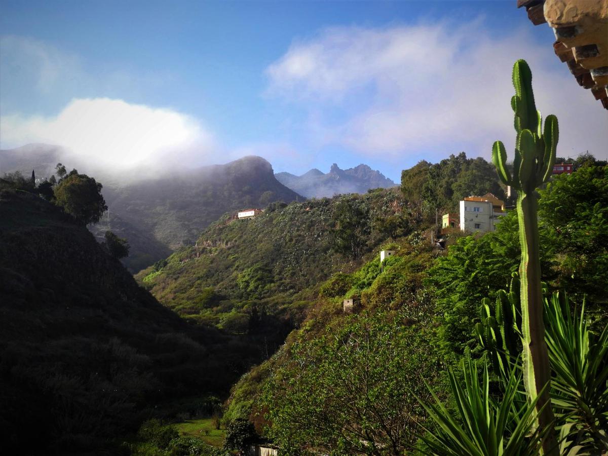 Camino Art House - Housity