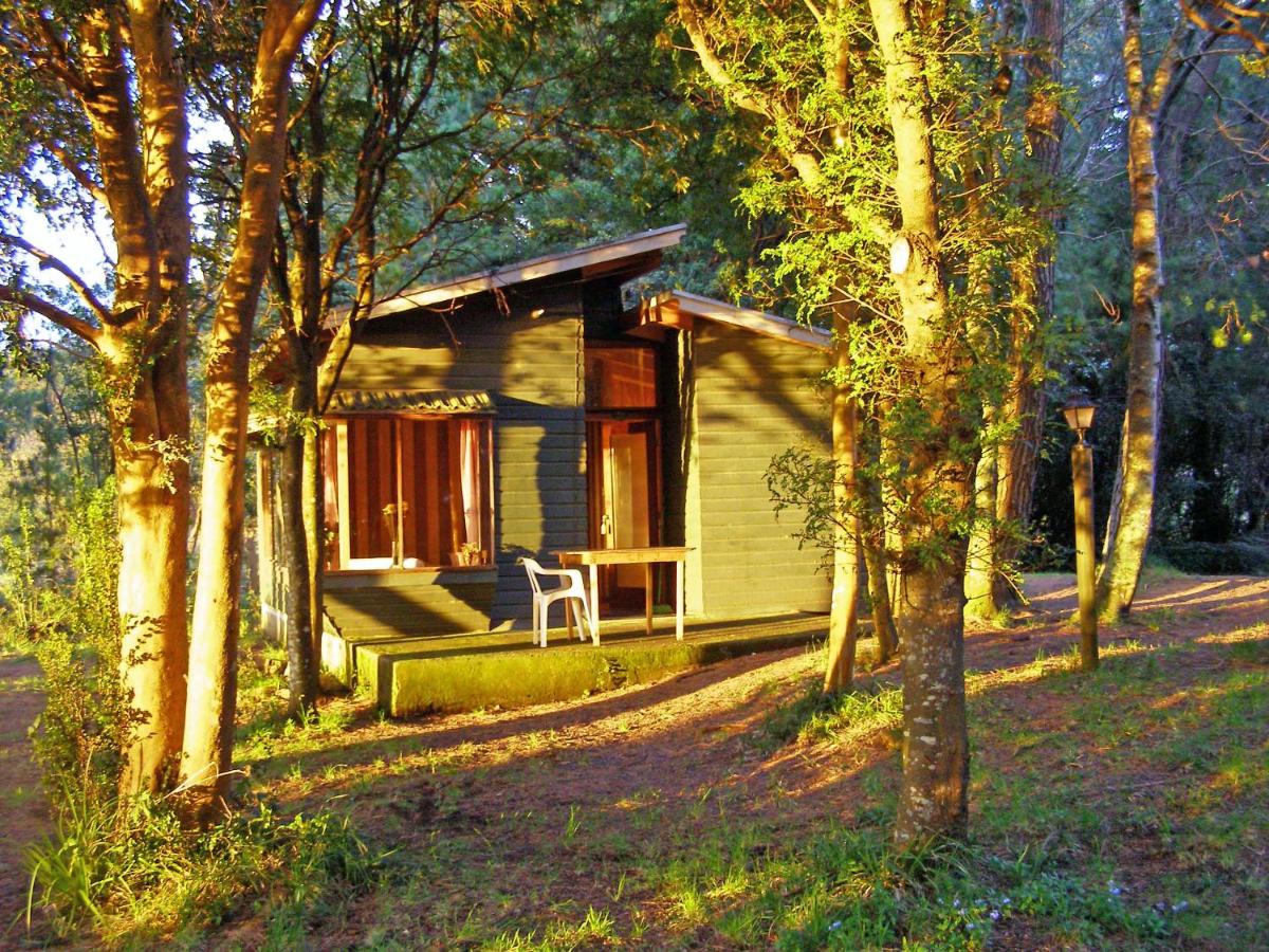 Suitetrails - Cabañas Vista al Lago