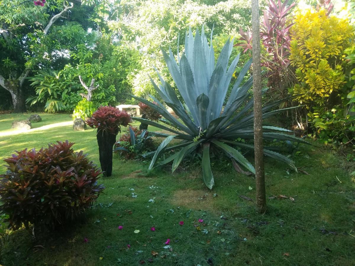 Los Palmares Guest House & Eventos - Housity