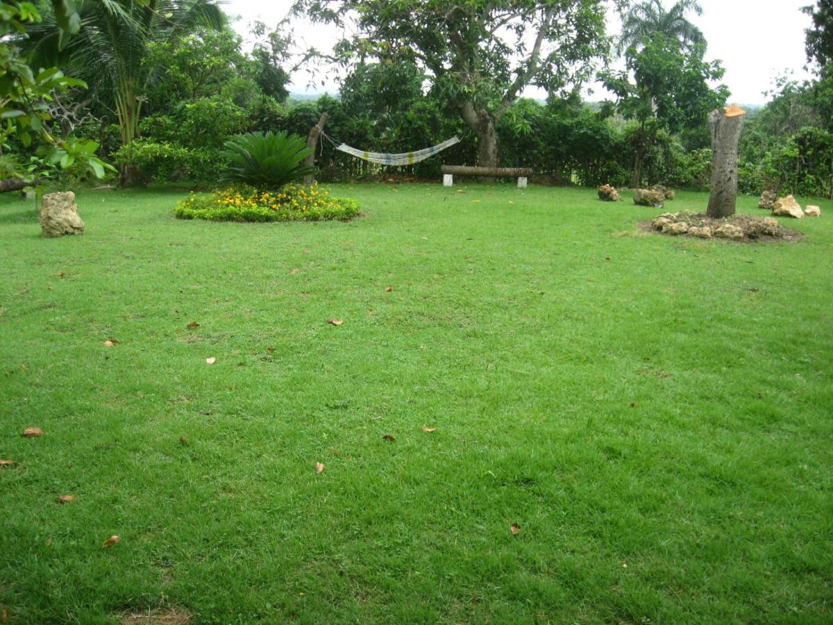 Los Palmares Guest House & Eventos - Housity
