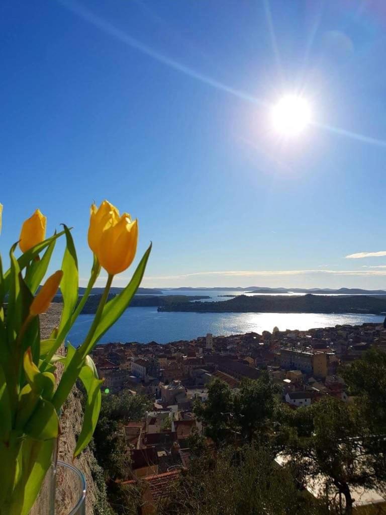 Apartments Gordana - Housity