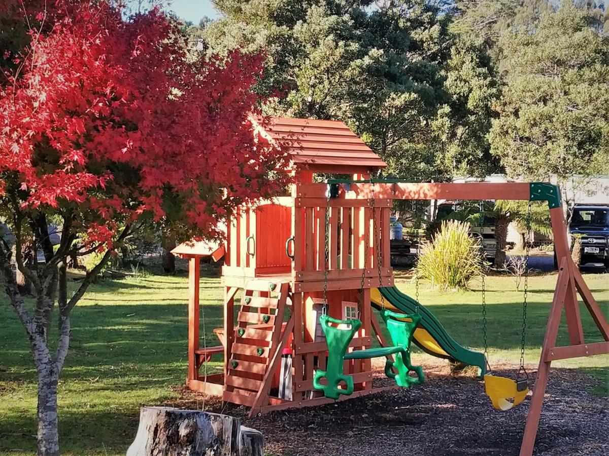 Glamping at Zeehan Bush Camp - Housity