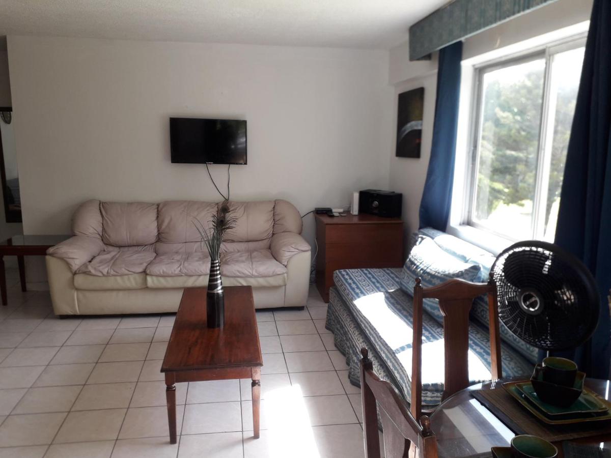 ONE BED ROOM APARTMENT & ONE STUDIO IN OCHI RIOS - Housity