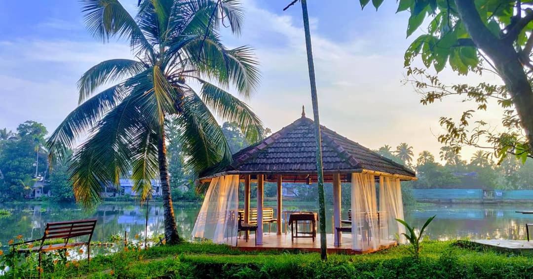 Sunsets and Palm Trees - Housity