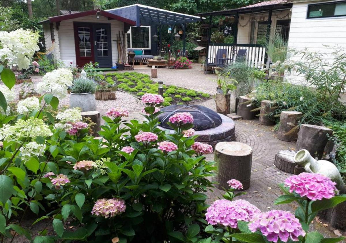 Kunstenaars Boshuisje Veluwe - Housity