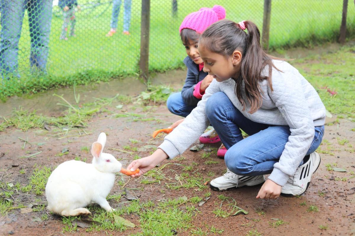 a young girl feeding a white rabbit with a carrot at Savoy - IHCL SeleQtions in Ooty