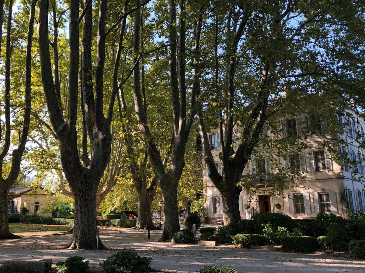 Jardin de l'établissement Hotel Château Des Alpilles