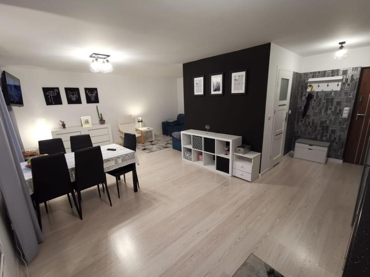 Apartament w centrum Rawy Mazowieckiej - Housity