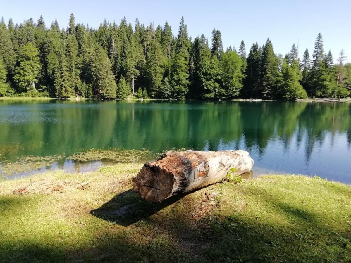 Camp Zabojsko lake - Housity
