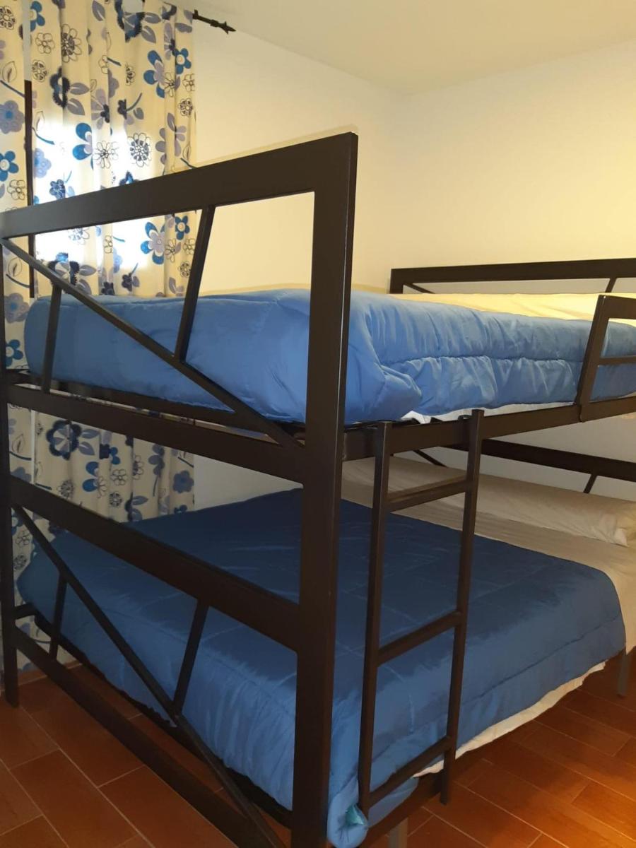 Apartamentos Domus - Housity